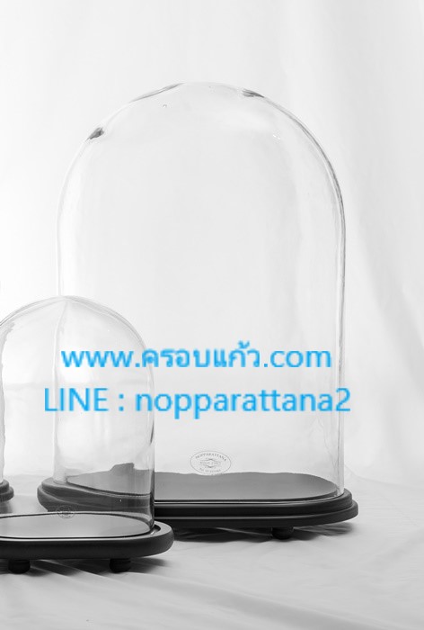 `ครอบแก้ว 13x8x19 นิ้ว พร้อมฐานไม้ `ครอบแก้ว 13x8x19 นิ้ว พร้อมฐานไม้