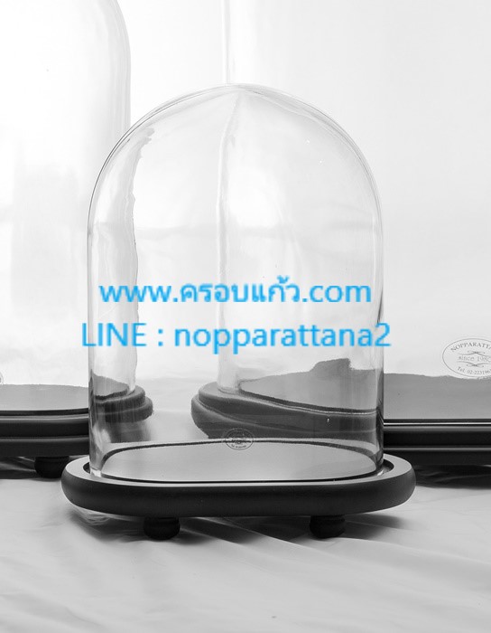 ครอบแก้ว 7.5x5x10 นิ้ว พร้อมฐานไม้ ครอบแก้ว 7.5x5x10 นิ้ว พร้อมฐานไม้