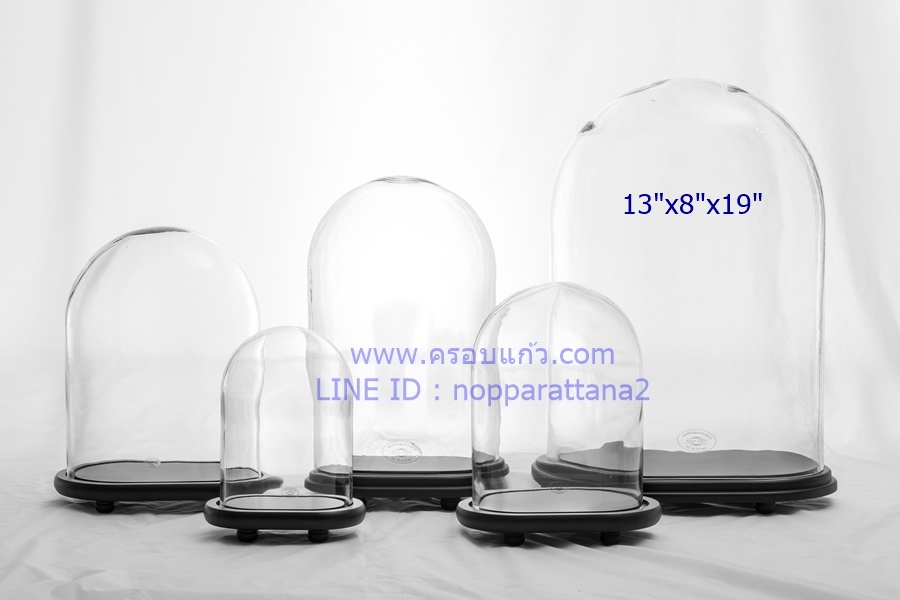 `ครอบแก้ว 13x8x19 นิ้ว พร้อมฐานไม้ `ครอบแก้ว 13x8x19 นิ้ว พร้อมฐานไม้
