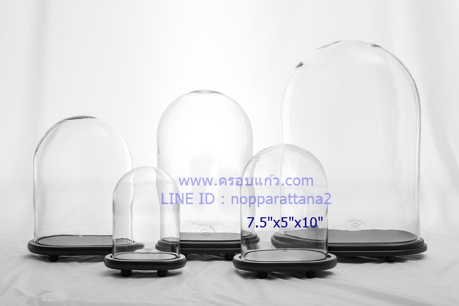 ครอบแก้ว 7.5x5x10 นิ้ว พร้อมฐานไม้ ครอบแก้ว 7.5x5x10 นิ้ว พร้อมฐานไม้