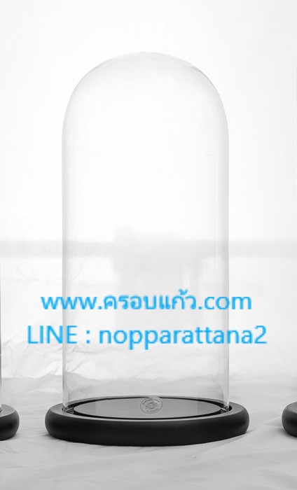 ครอบแก้วขนาด 5.5x12 นิ้ว พร้อมฐานไม้