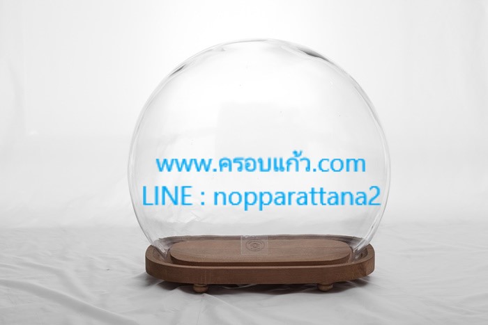 ครอบแก้วขนาด 12x7.5x13 นิ้ว พร้อมฐานไม้ ครอบแก้วขนาด 12x7.5x13 นิ้ว พร้อมฐานไม้