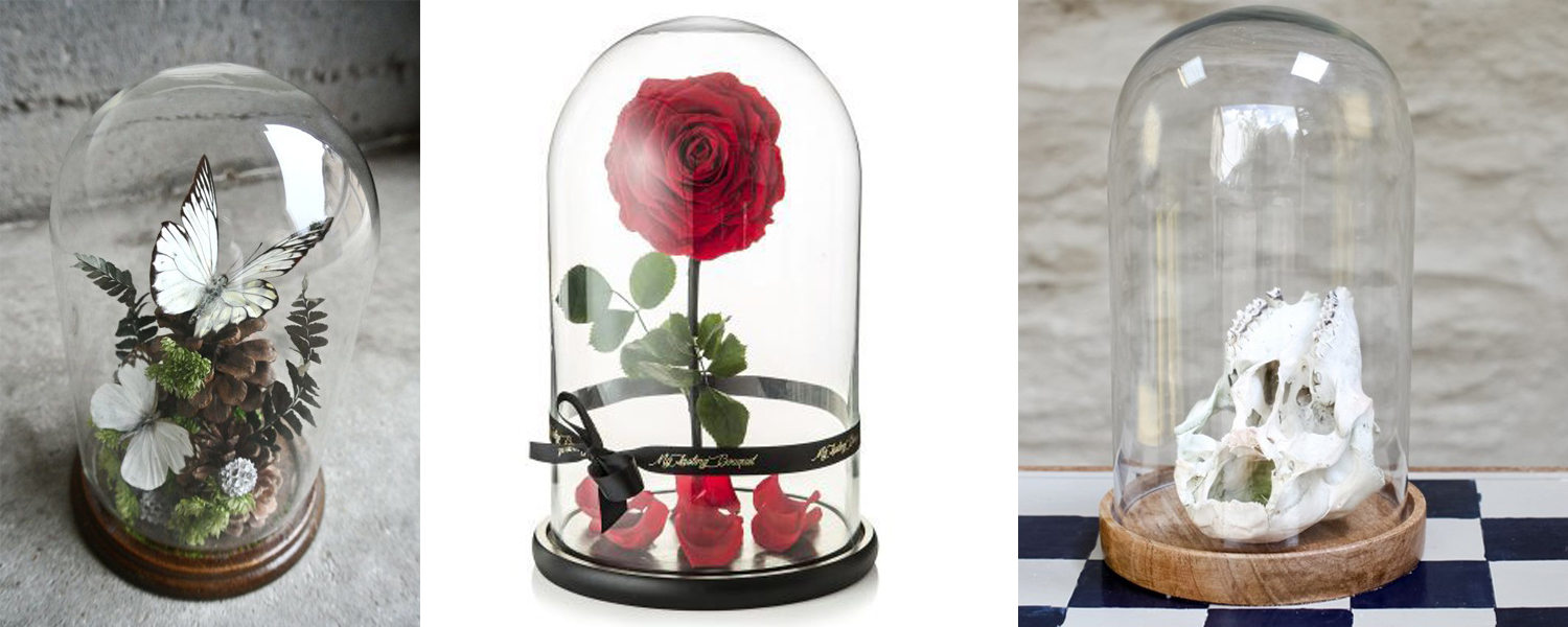 แบนเนอร์ 1