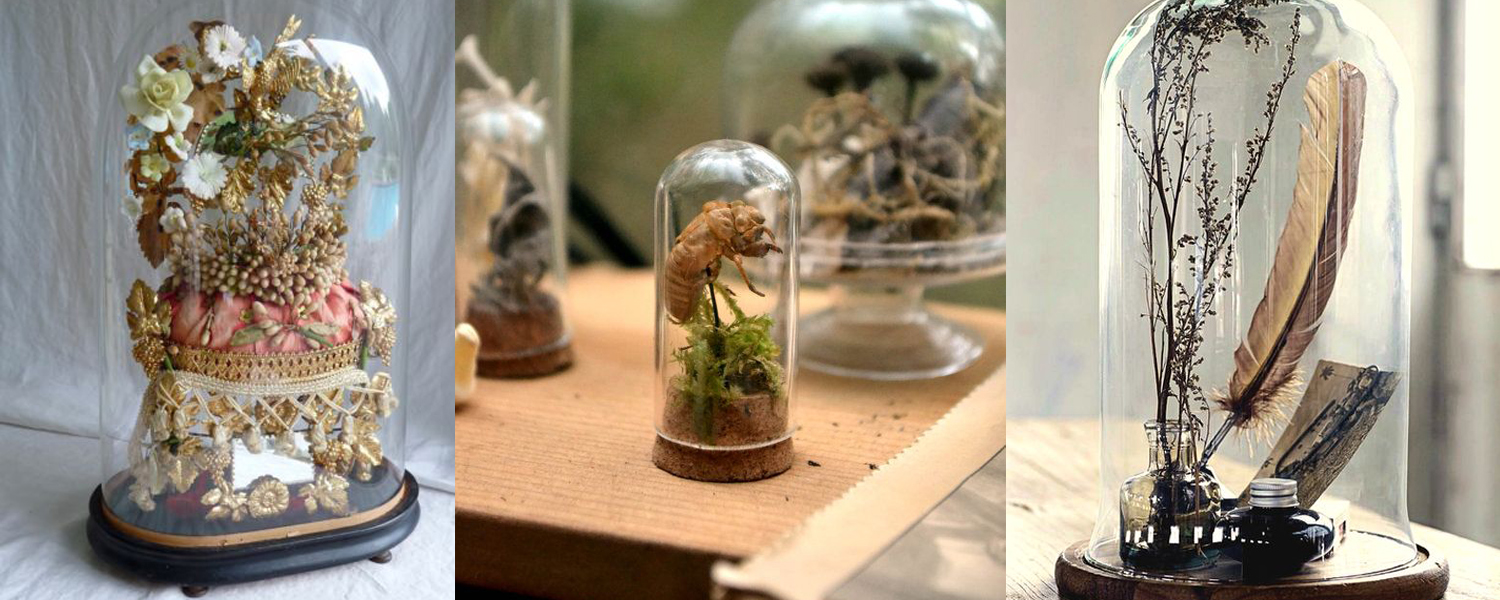 แบนเนอร์ 2