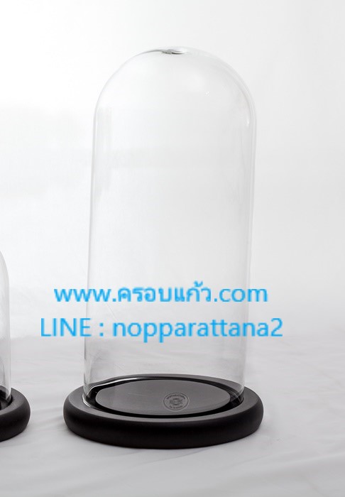 ครอบแก้ว 4.5x10 นิ้ว พร้อมฐานไม้