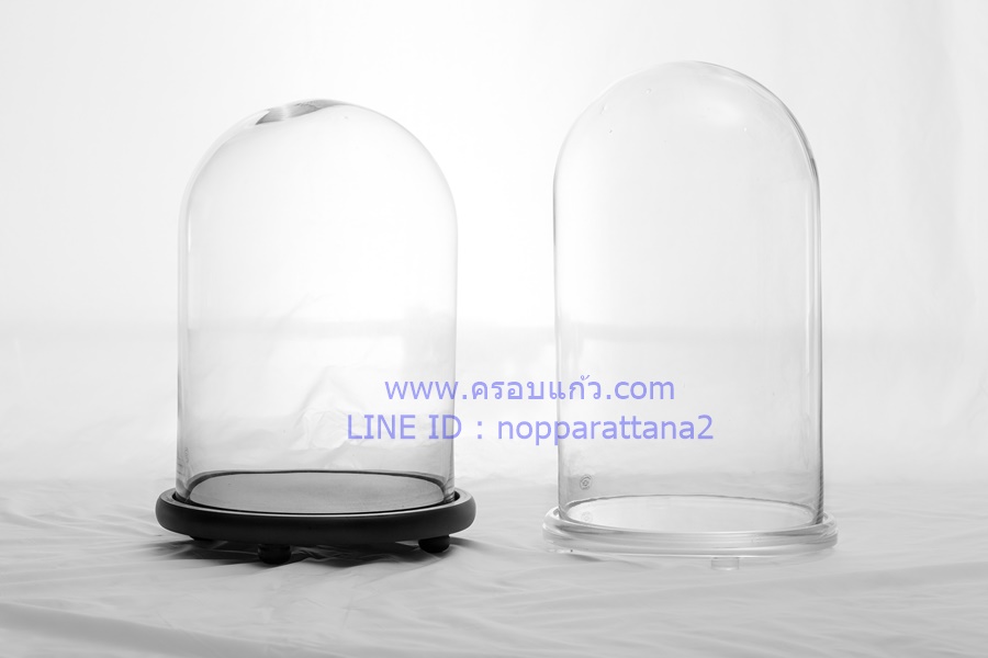 ครอบแก้ว 8x12 นิ้ว พร้อมฐานไม้