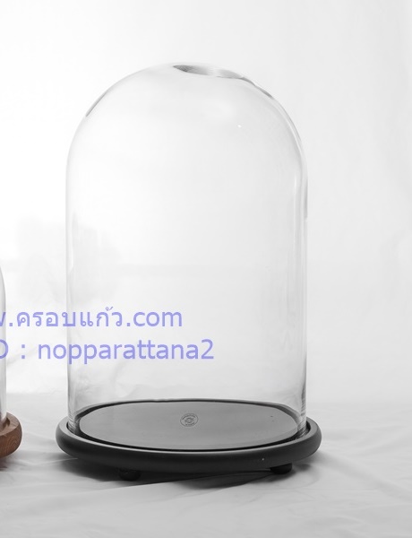 ครอบแก้ว 10x16 นิ้ว พร้อมฐานไม้