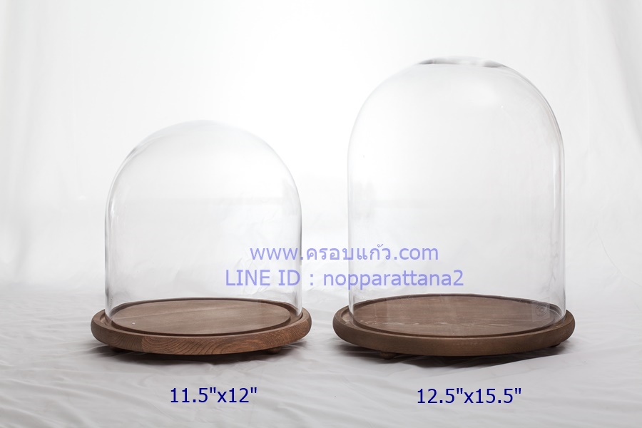 ครอบแก้ว 12.5x15.5 นิ้ว พร้อมฐานไม้