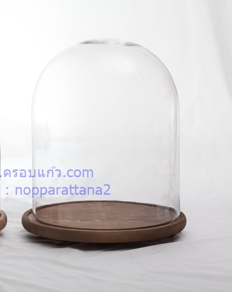 ครอบแก้ว 12.5x15.5 นิ้ว พร้อมฐานไม้