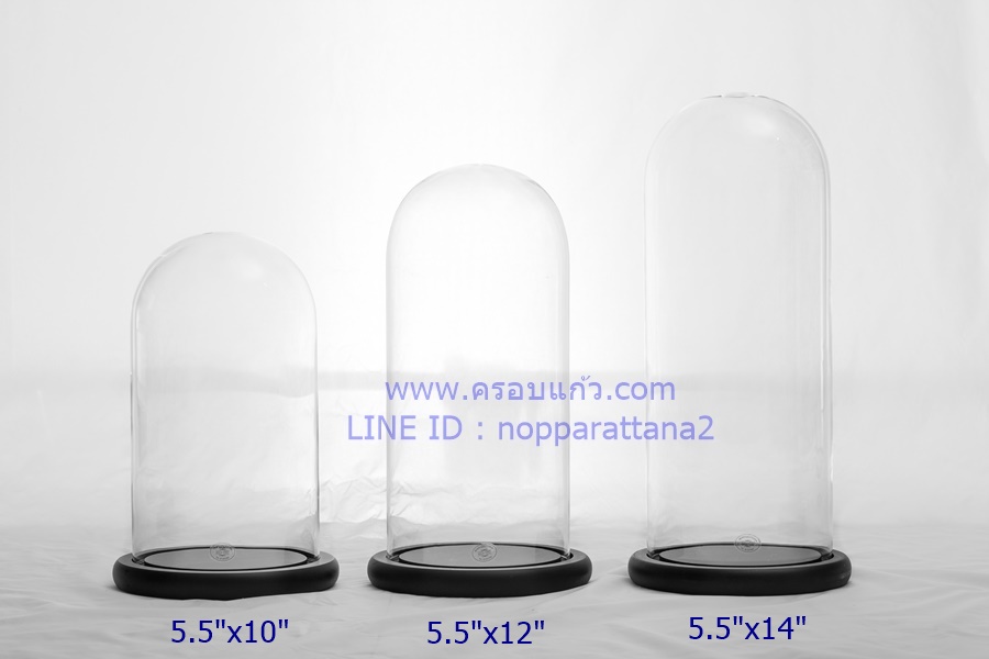 ครอบแก้วขนาด 5.5x14 นิ้ว พร้อมฐานไม้