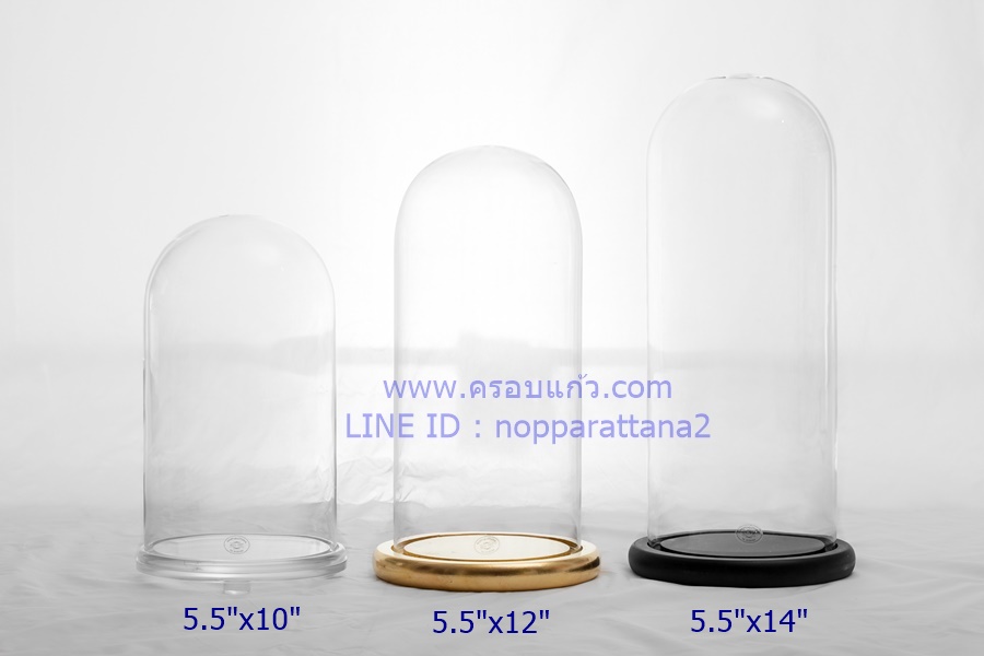 ครอบแก้ว 5.5x10 นิ้ว พร้อมฐานอะคลิลิค