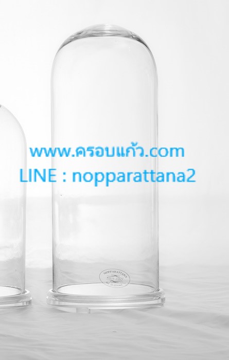 ครอบแก้ว 5.5x14 นิ้ว พร้อมฐานอะคลิลิค