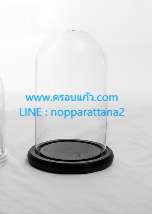 ครอบแก้ว 3x6 นิ้ว พร้อมฐานไม้