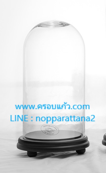 ครอบแก้วขนาด 6x12 นิ้ว พร้อมฐานไม้