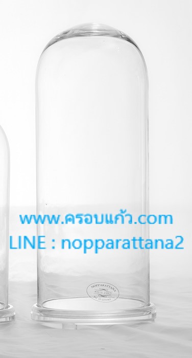 ครอบแก้ว 9.5x23 นิ้ว พร้อมฐานอะคลิลิค
