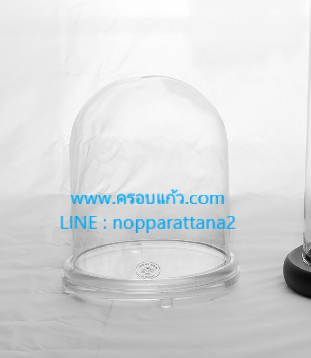 ครอบแก้ว 4x7 นิ้ว พร้อมฐานอะคลิลิค