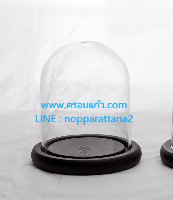 ครอบแก้ว 4x7 นิ้ว พร้อมฐานไม้