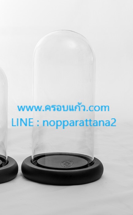 ครอบแก้วขนาด 3.5x8 นิ้ว พร้อมฐานไม้